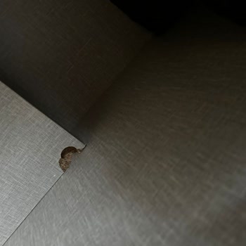 Doğtaş'tan Gelen Ayıplı Ürünlerle Mağduriyet Yaşıyorum