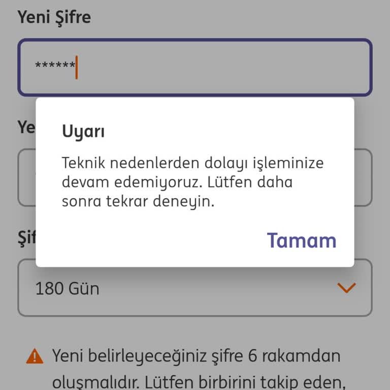 ING Şifre Blokajı ve Teknik Sorunlarla Mücadele