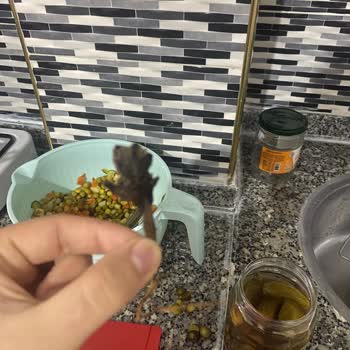 Galle Turşusunda Beklenmedik Nesne ve Koku Sorunu