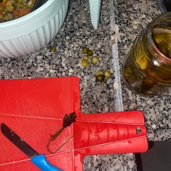 Galle Turşusunda Beklenmedik Nesne ve Koku Sorunu