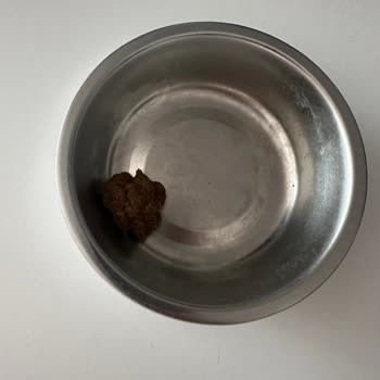 Bozita Mama Hayal Kırıklığı: Topaklanma ve İletişimsizlik