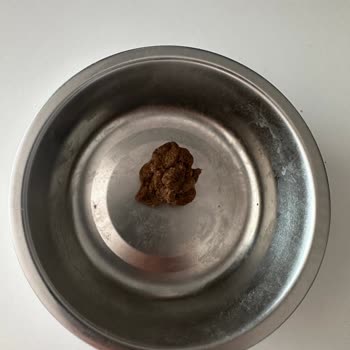 Bozita Mama Hayal Kırıklığı: Topaklanma ve İletişimsizlik