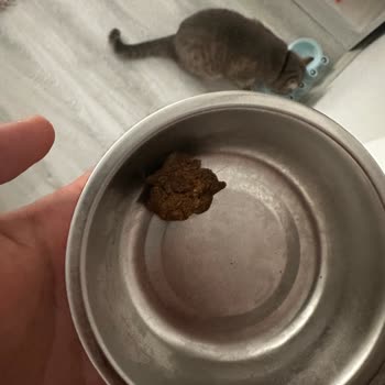 Bozita Mama Hayal Kırıklığı: Topaklanma ve İletişimsizlik