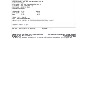 Yatırım Sorunu ve Destek Eksikliği