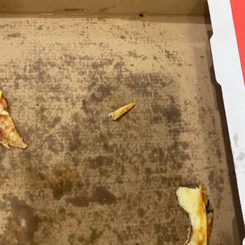 Pizza Siparişimde Tahta Parçası Şoku