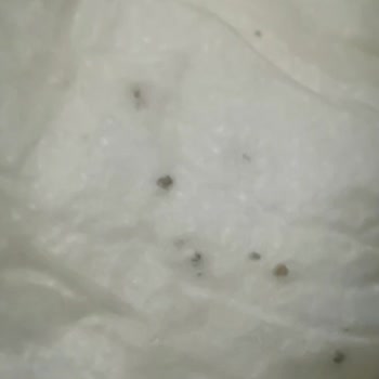 Bebek Bezi Skandalı: Böcekli Sleepy Külot Bezler