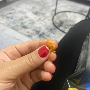 Samba Cips İçinde Hijyen Sorunu