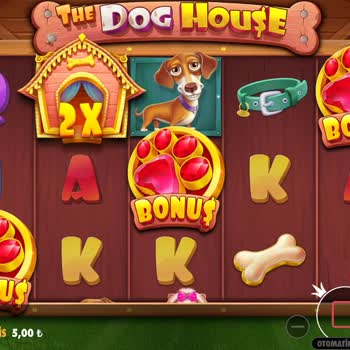 Kopyala Yapıştır Destek: Müşteri Memnuniyetsizliği