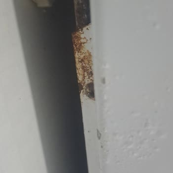 Samsung Çamaşır Makinesi Sorunları: Paslanma ve Kazan Arızası