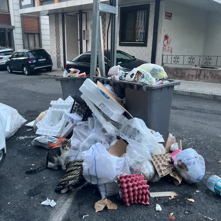 Eyüpsultan Belediyesi Yıllardır Çekilen Koku Çilesi: Çöp Konteyneri Sorunu!
