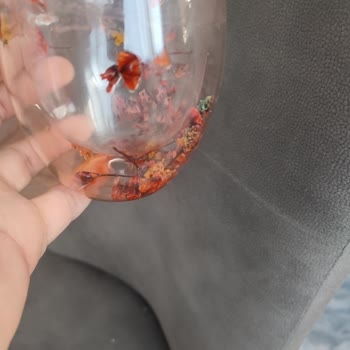 Delik Bardak ve Suçlayıcı Üslup