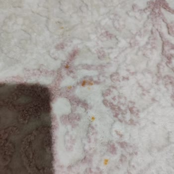 Liva Halı Konya Amatör Çalışıyor!