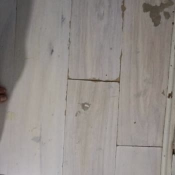 Tekrarlayan Su Sızıntısı Mağduriyeti: Sigorta İlgisizliği