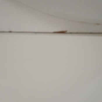 Tekrarlayan Su Sızıntısı Mağduriyeti: Sigorta İlgisizliği