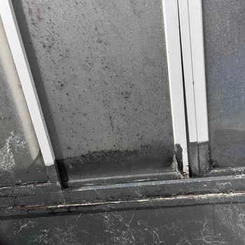 Tekrarlayan Su Sızıntısı Mağduriyeti: Sigorta İlgisizliği