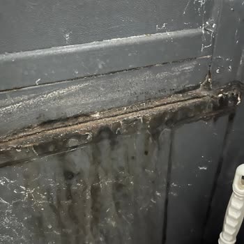 Tekrarlayan Su Sızıntısı Mağduriyeti: Sigorta İlgisizliği