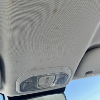 Budget (budget.com.tr) Kiralanan Aracın Temizlik Sorunu