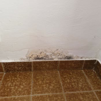 Jolly Tur ile Hayal Kırıklığı: Konaklama ve Tur Planlaması Sorunları