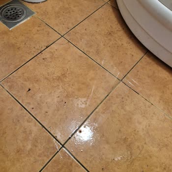 Jolly Tur ile Hayal Kırıklığı: Konaklama ve Tur Planlaması Sorunları