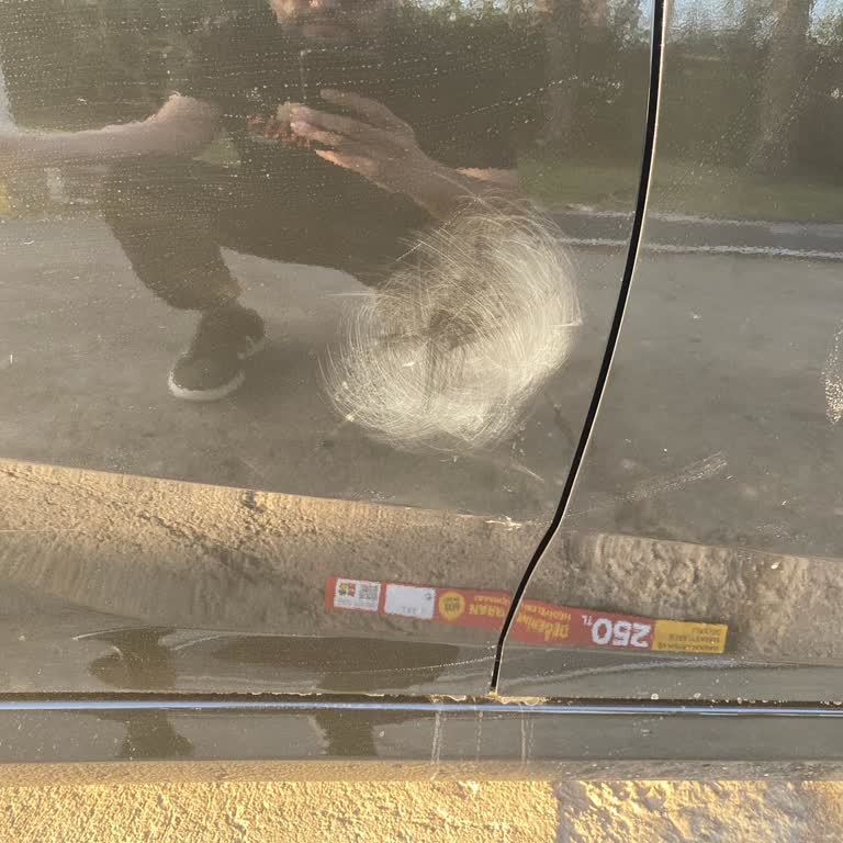 Sakarya Sandıkçı Honda Servisi'nde Hayal Kırıklığı ve Sorunlar Zinciri