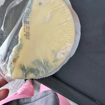 Ekici Kaşar Peynirinde Beklenmedik Küflenme Sorunu