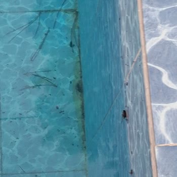 Havuz ve Jakuzi Kabusu: Sağlık Tehlikesi Altında Tatil