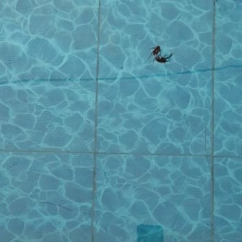 Havuz ve Jakuzi Kabusu: Sağlık Tehlikesi Altında Tatil