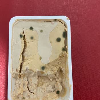 Tarihi Geçmemiş Üründe Küf Sorunu