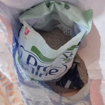 Patlak Kedi Kumu Paketleriyle Hayal Kırıklığı