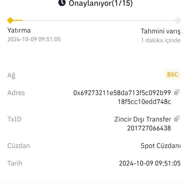 Binance Transfer Gecikmesi ve Mağduriyet