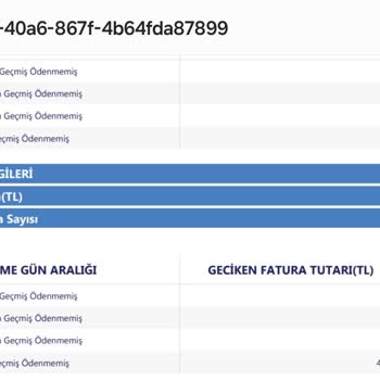 Findeks Raporunda Yanlış Borç Bilgisi ve Kredi Sorunu