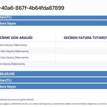 Findeks Raporunda Yanlış Borç Bilgisi ve Kredi Sorunu