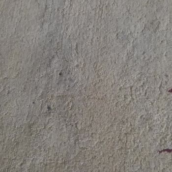 Damla Halı Yıkama (Ankara) Halı Yıkama Hizmetinde Hayal Kırıklığı!