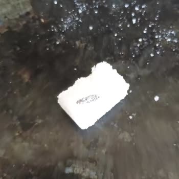 BİM'den Alınan Şekerden Böcek Dışkısı Çıktı