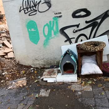 Kadıköy'de Sağlık Tehdidi ve İhmal Edilen Sorunlar