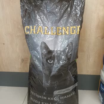 Sokak Hayvanlarına Uygun Olmayan Kedi Maması Sorunu