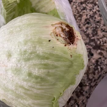 Eksik ve Kalitesiz Ürünlerle Hayal Kırıklığı Yaşatan Alışveriş Deneyimi