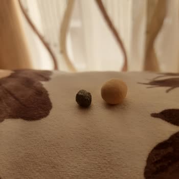 Çerezya Çıtır Leblebi İçinden Taş Çıktı!