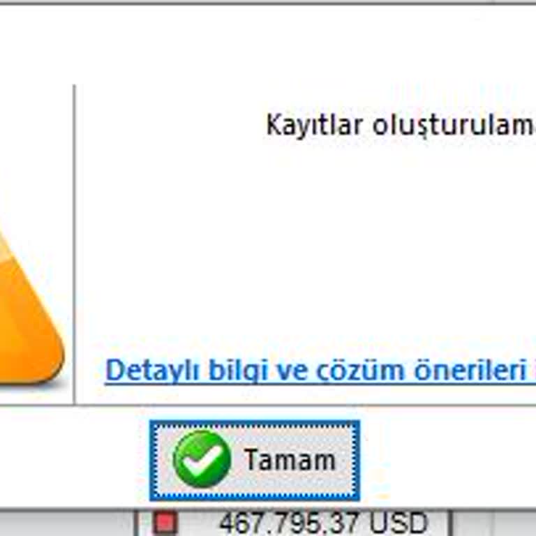 Mikro programında e-fatura sorgulama sorunu