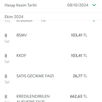 TEB Kredi Kartı Ekstre Ücretlendirme Sorunu