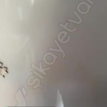 Arçelik  Dondurucuda Sararma Sorunu!