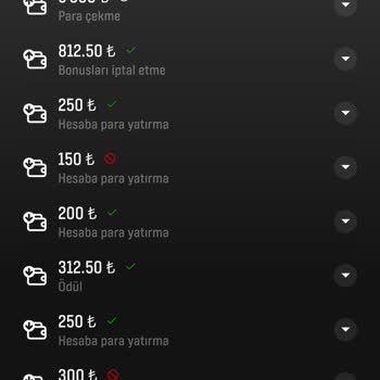 Başarıbet'te Belge Gönderim Sorunu