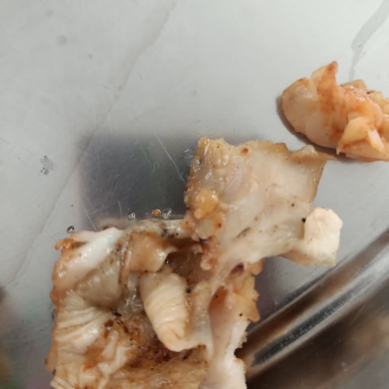 Sağlıksız Döner Deneyimi: Çocuklarım İğrendi