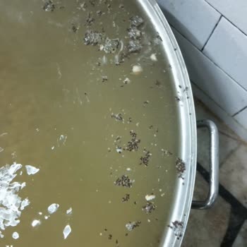 BİM'den Alınan Nohutlar Böcekli Ve Kurtlu!