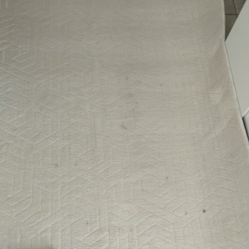 Halı Temizleme Hizmetinde Büyük Hayal Kırıklığı