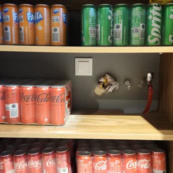 Soğutucu Dolap Gecikmesi: İzmir'de Müşteri Memnuniyetsizliği