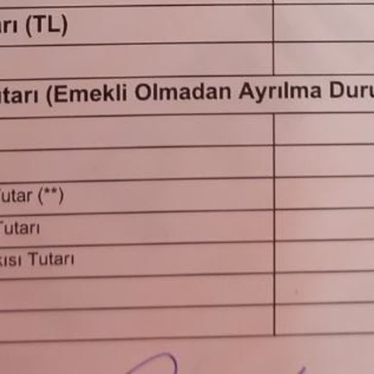 BES'ten Çıkışta Büyük Hayal Kırıklığı Ve Maddi Zarar