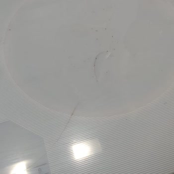 Bosch Elektrikli Ocak Güvenlik Sorunu: Patlayan Cam Tehlikesi