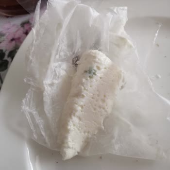 Taze Kaymak Keyfi Küf Şoku İle Kâbusa Döndü