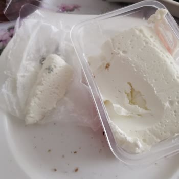 Taze Kaymak Keyfi Küf Şoku İle Kâbusa Döndü